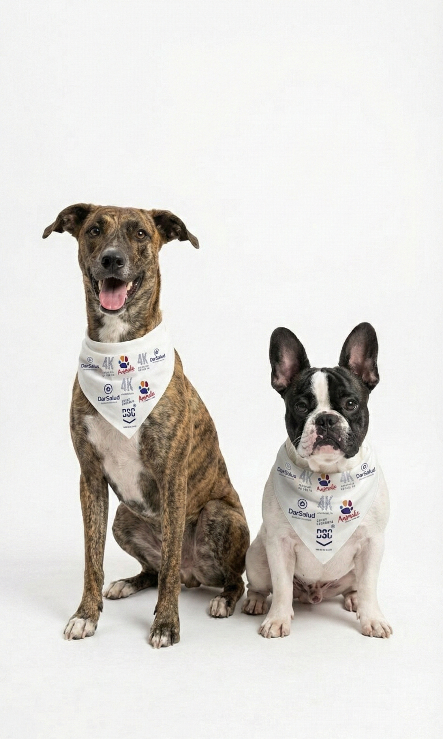 Zona Pet - Correcaminata Dar Salud